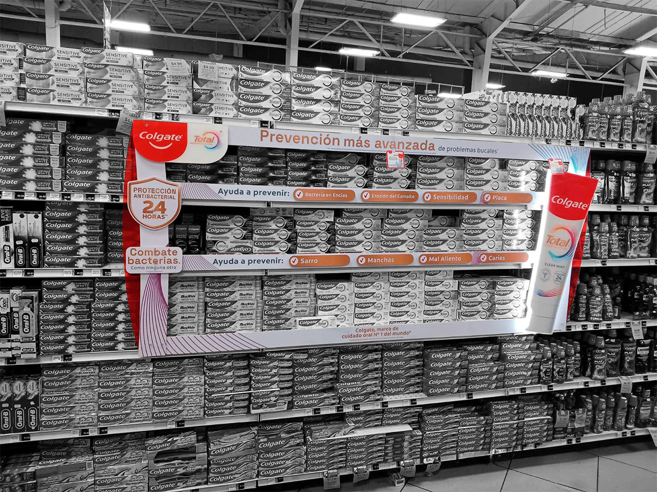 Marco Colgate Principal